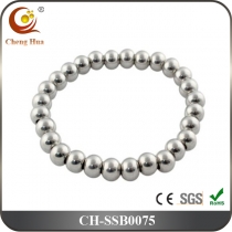 Stainless Steel & Titanium Bracelet SSB0075