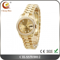Stainless Steel Watch SSW0012