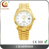 Stainless Steel Watch SSW0020