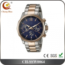 Stainless Steel Watch SSW0064