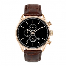 Stainless Steel Quartz Watch SSW0013