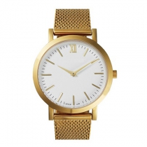 Stainless Steel Quartz Watch SSW0035