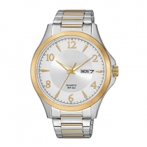 Stainless Steel Quartz Watch SSW0048